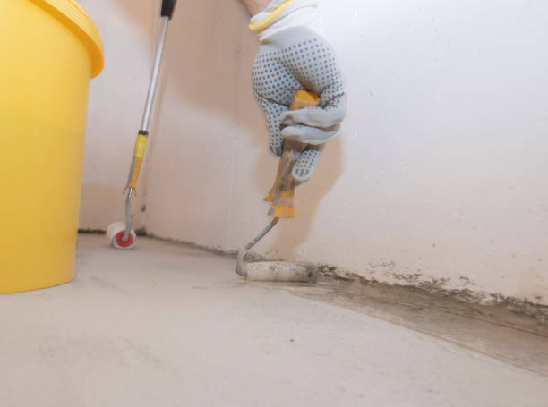 Best Fumigation Services  in Shorewood Forest, IN